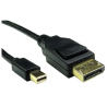 Câble DisplayPort RS PRO, Mini DisplayPort/ DisplayPort M /M en 2m