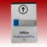 Office Professional Plus 2021 PC 1 User - PC Microsoft Store
