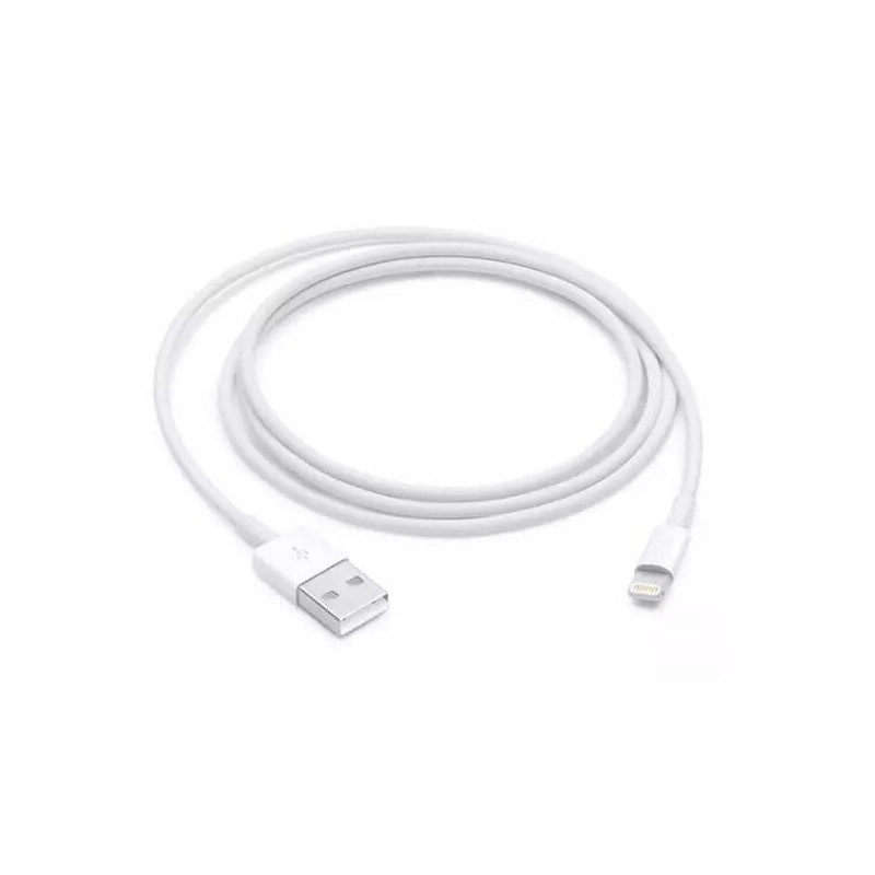 Câble USB Lightning original Apple MD818ZM/A 1 m blanc