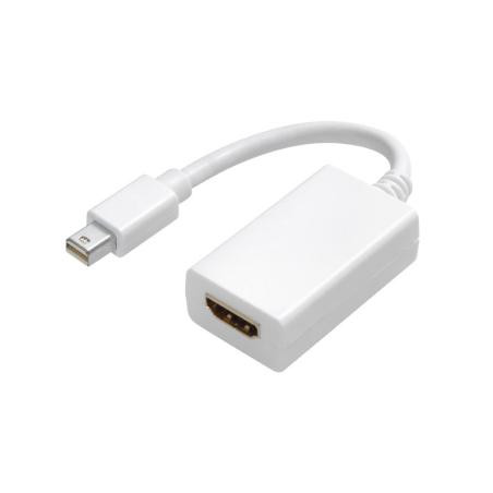 Adaptateur Mini-DisplayPort vers DisplayPort Lenovo ,Surface pro,  plus  Mac